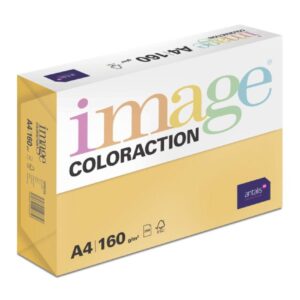 Papír barevný Color A4/160gr Venezia sytě oranžový AG10 Kvalitní multifunkční barevný kopírovací papír vyznačující se výbornou potiskovatelností a perfektním rozložením barevných pigmentů.