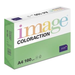 Papír barevný Color A4/160gr Dublin sytě zelený DG47 Kvalitní multifunkční barevný kopírovací papír vyznačující se výbornou potiskovatelností a perfektním rozložením barevných pigmentů.
