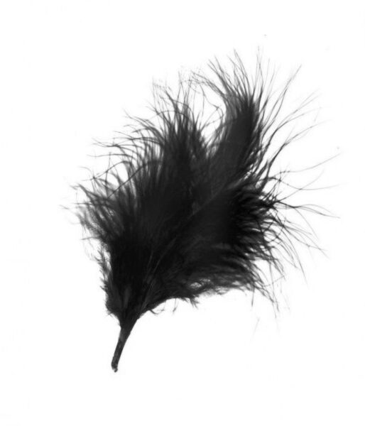 Peří černé 10ks Peří černé 10ks Sáček peříček pro Vaše kreativní nápady. Vhodný do kytic