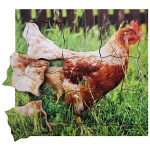 Cyklus - vývoj života slepice (puzzle 19 dílů) Slepice a její životní cyklus je dřevěné vrstvené puzzle o 19 dílech